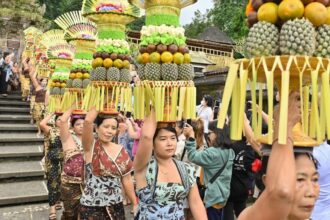 Dinkes Bali Perketat Pengawasan Meski Belum Ada Kasus Hantavirus