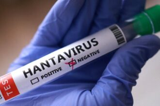 Hantavirus Viral Disebut Efek Samping Vaksin Covid, Ini Faktanya