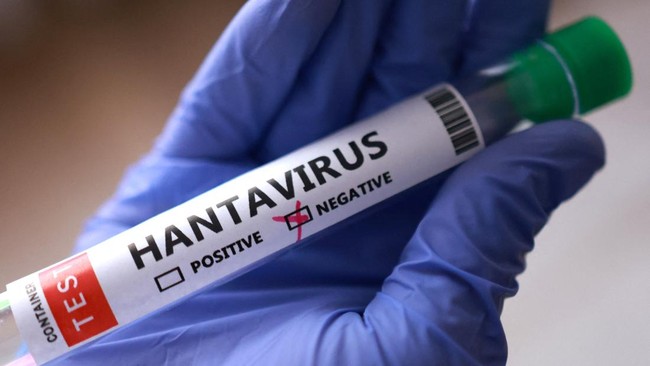 Hantavirus Viral Disebut Efek Samping Vaksin Covid, Ini Faktanya