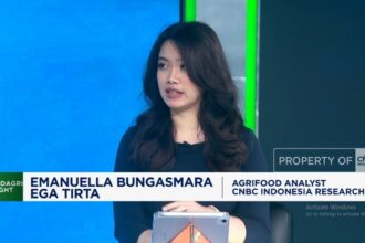 Harga Gandum Naik, Ketergantungan Impor RI Meningkat