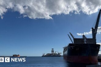 Kapal Pesiar Terpapar Virus Tiba di Tenerife, Tenaga Medis Bersiap