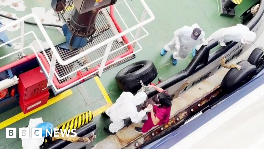 Kapal Pesiar dengan Wabah Hantavirus Berlayar ke Kepulauan Canary