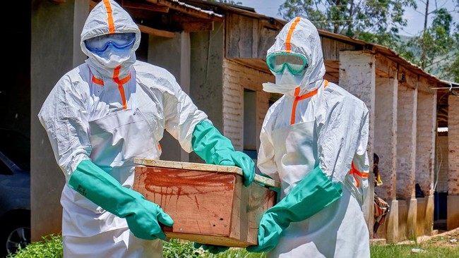 Kasus Ebola di Kongo Melonjak, Menembus 900