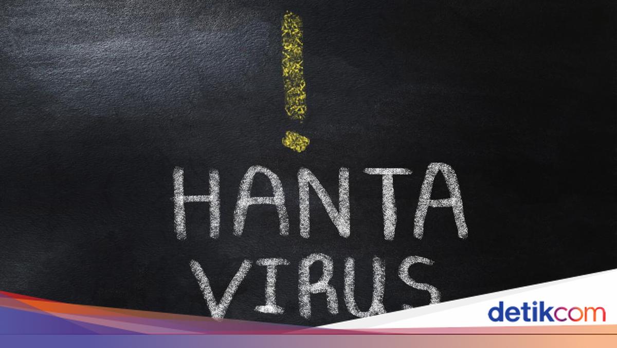 Kasus Hantavirus Pertama di Jawa Timur Dikonfirmasi