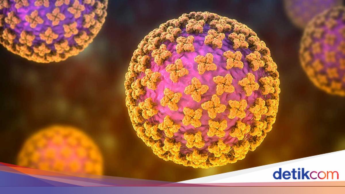 Kasus Suspek Hantavirus di Kulon Progo Dinyatakan Negatif
