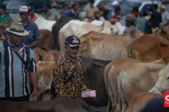 Kemenag Adakan Sidang Isbat Idul Adha Hari Ini