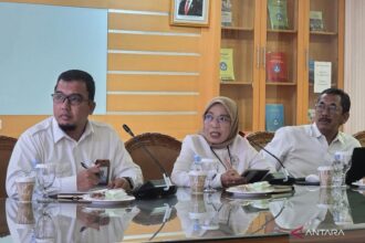 Kemendikdasmen Pastikan Tidak Ada PHK Massal Guru Non-ASN 2026