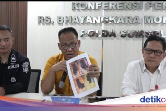 Korban Tewas Bus ALS di Sumsel Mencapai 18 Orang