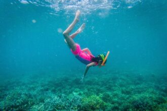 Liburan Sekolah Keluarga: Eksplorasi Alam hingga Jelajah Laut