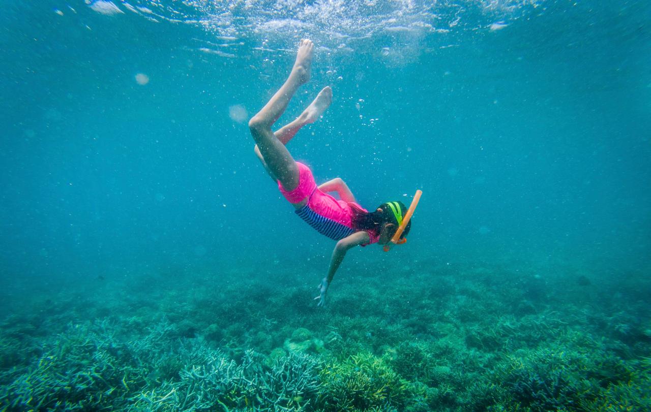 Liburan Sekolah Keluarga: Eksplorasi Alam hingga Jelajah Laut