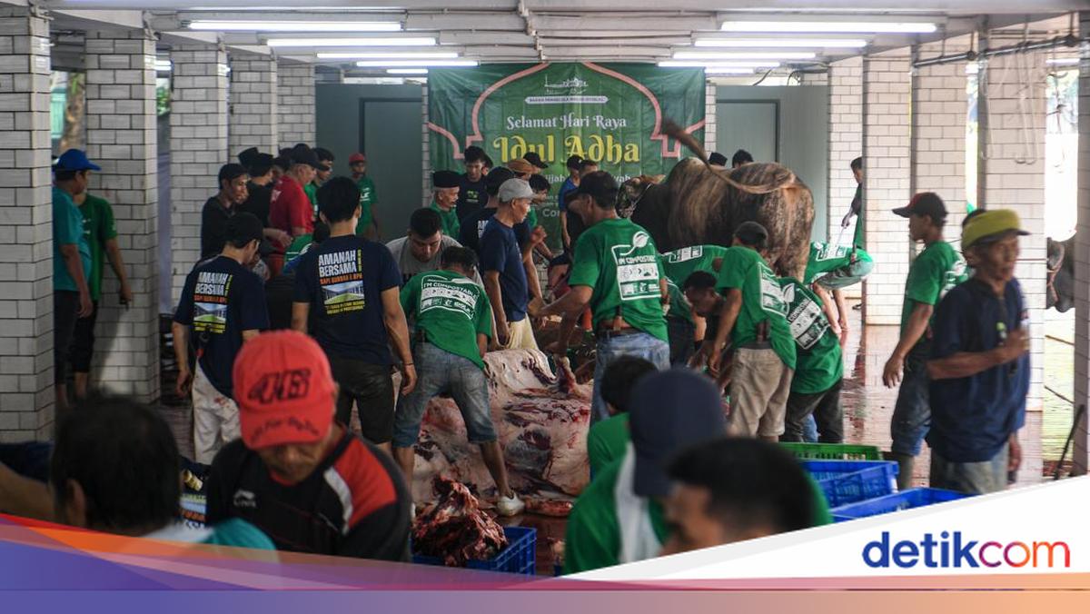 Masjid Istiqlal Bagikan Daging Kurban Melalui Lembaga Terdata