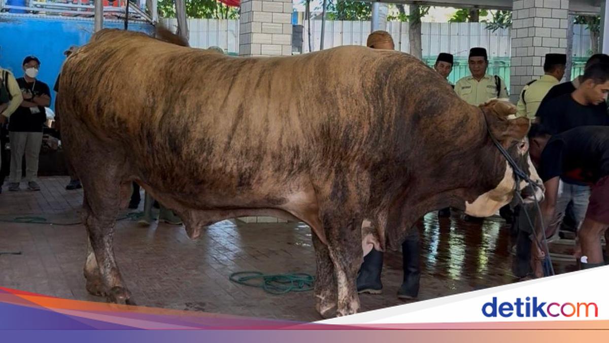 Masjid Istiqlal Sembelih 78 Hewan Kurban, Termasuk Sapi dari Prabowo dan Gibran