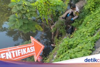 Mayat Bayi Ditemukan Mengambang dengan Tali Pusar di Kuta Bali