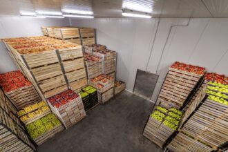 PT Segar Kumala Indonesia Lanjutkan Ekspansi Cold Chain pada 2026