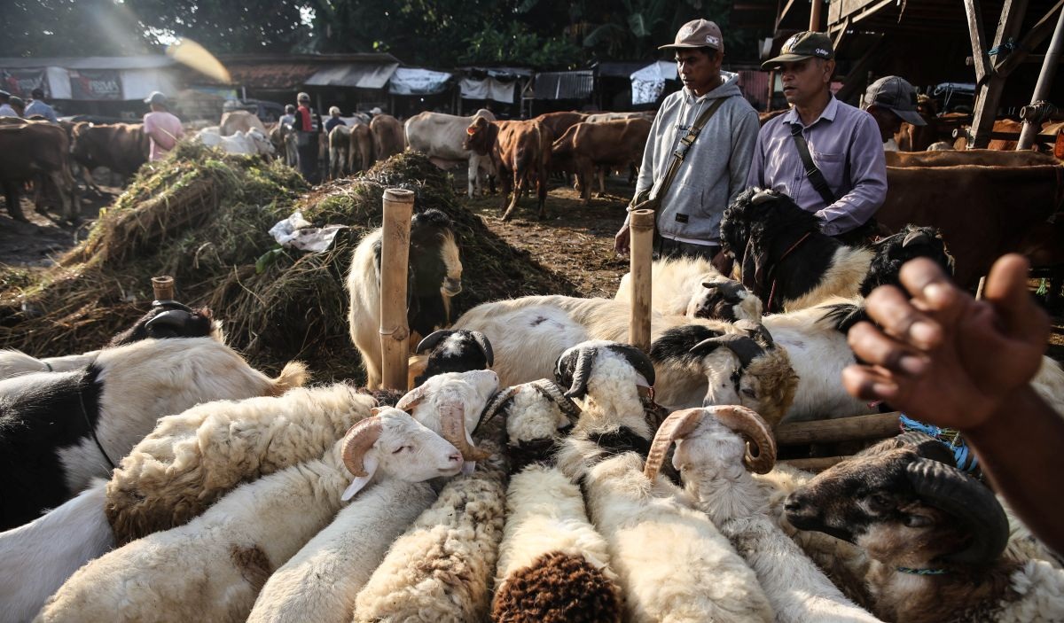 Pandangan Lintas Mazhab: Kurban Satu Kambing untuk Satu Keluarga
