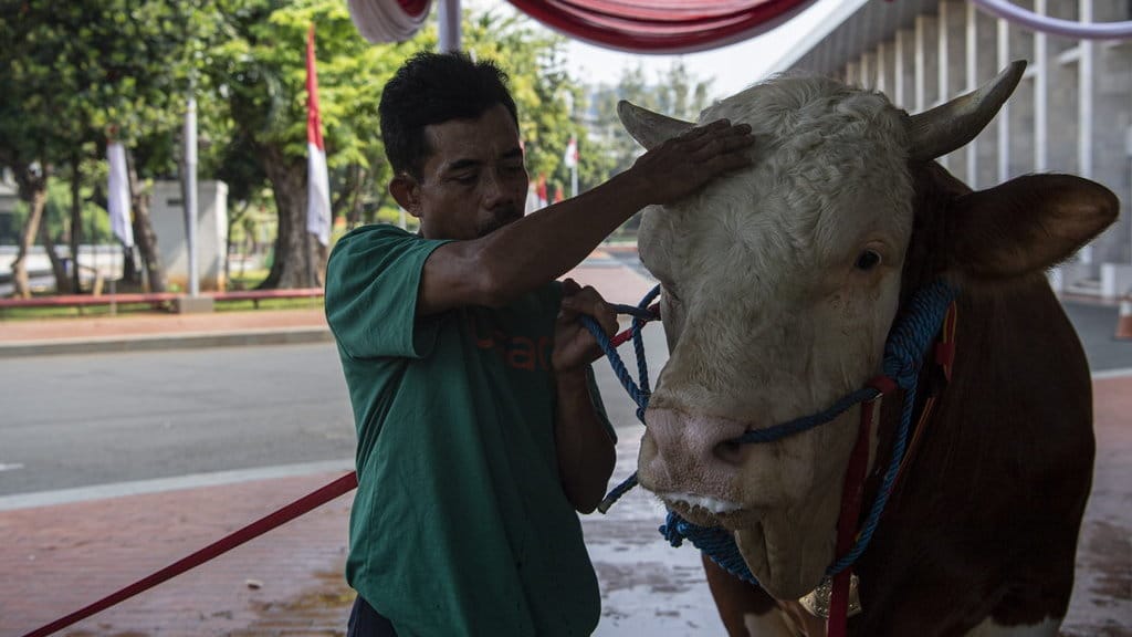 Panduan Doa Menyembelih Hewan Kurban untuk Orang Lain