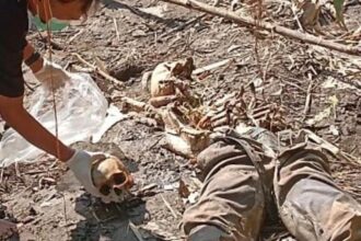 Pemancing di Bantul Temukan Mayat dan Tengkorak di Sungai Bedog