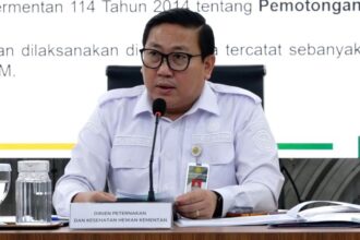 Pemerintah Pastikan Stok Pangan Aman Menjelang Idul Adha