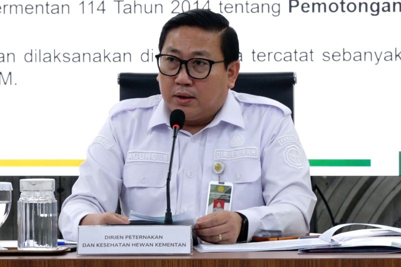 Pemerintah Pastikan Stok Pangan Aman Menjelang Idul Adha
