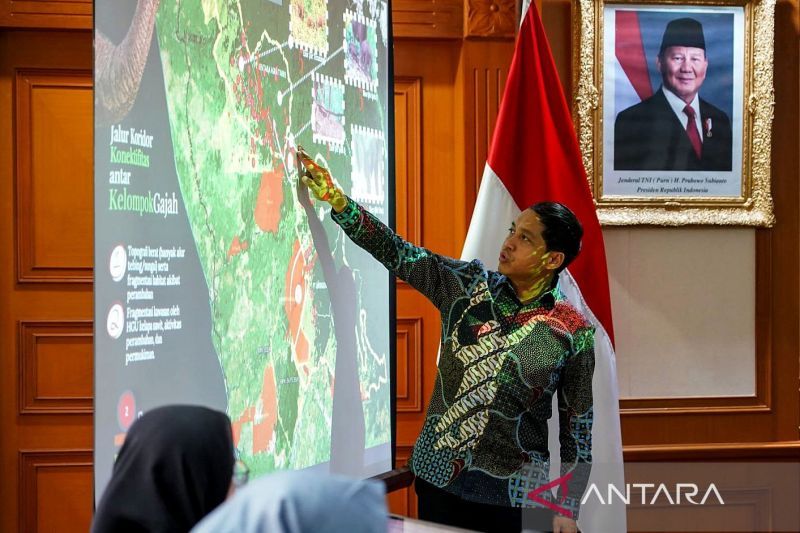 Pemerintah Perkuat Upaya Pelestarian Ekosistem Kantong Gajah