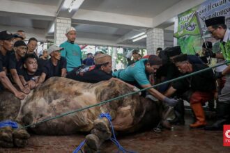 Pemotongan Kurban di Masjid Istiqlal Dihadiri Ribuan Jamaah