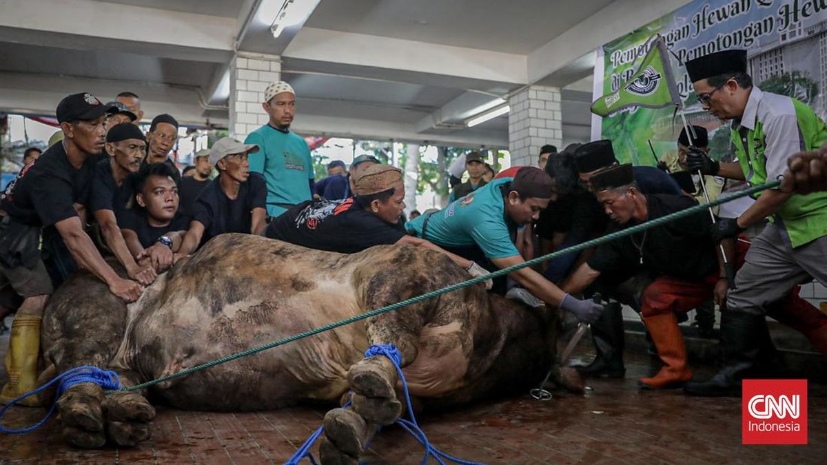 Pemotongan Kurban di Masjid Istiqlal Dihadiri Ribuan Jamaah