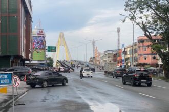 Pemprov Riau Tegaskan Belum Ada Kasus Hantavirus di Wilayahnya