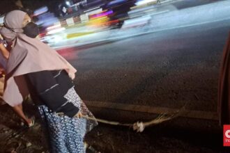 Penyapu Koin di Jembatan Kali Sewo Indramayu Tewas Terlibat Kecelakaan