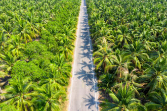 Petani Apresiasi Pabrik Sawit Patuh Harga Pemerintah