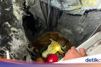 Sapi Kurban Terjebak di Septic Tank Mojokerto, Evakuasi Berlangsung 3 Jam