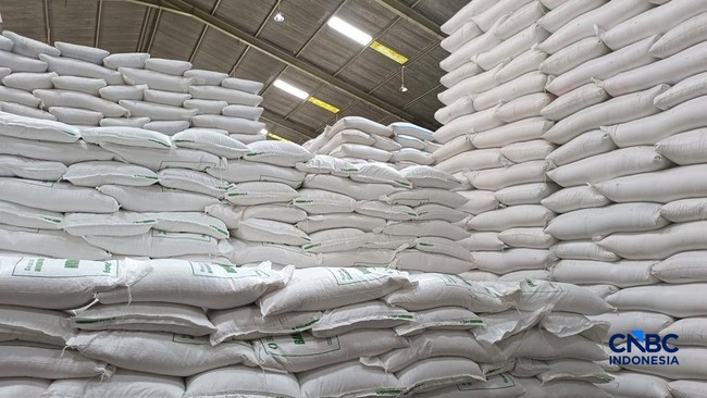 Stok Cadangan Beras Pemerintah Cetak Rekor, Capai 5,37 Juta Ton