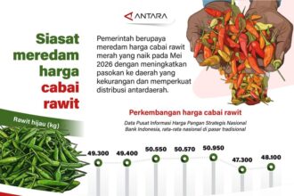 Strategi Pemerintah Tekan Harga Cabai Rawit Naik