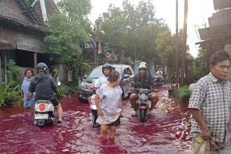 Tanggul Sungai Godo Jebol, Puluhan Rumah di Pati Terendam