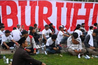Tantangan Tenaga Kerja di Indonesia: 40,4% Undereducated