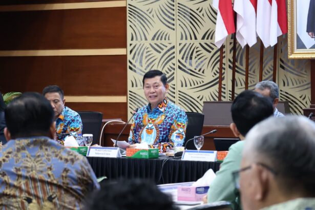 Wagub Sulut dorong kepala daerah pacu realisasi investasi dan inovasi pelayanan