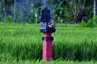 dumoga