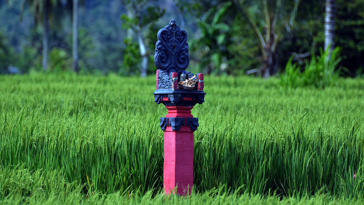 Membaca jejak tanah leluhur yang direbut atas nama negara