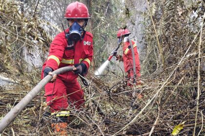 11 Daerah di Riau Tetapkan Status Siaga Darurat Karhutla