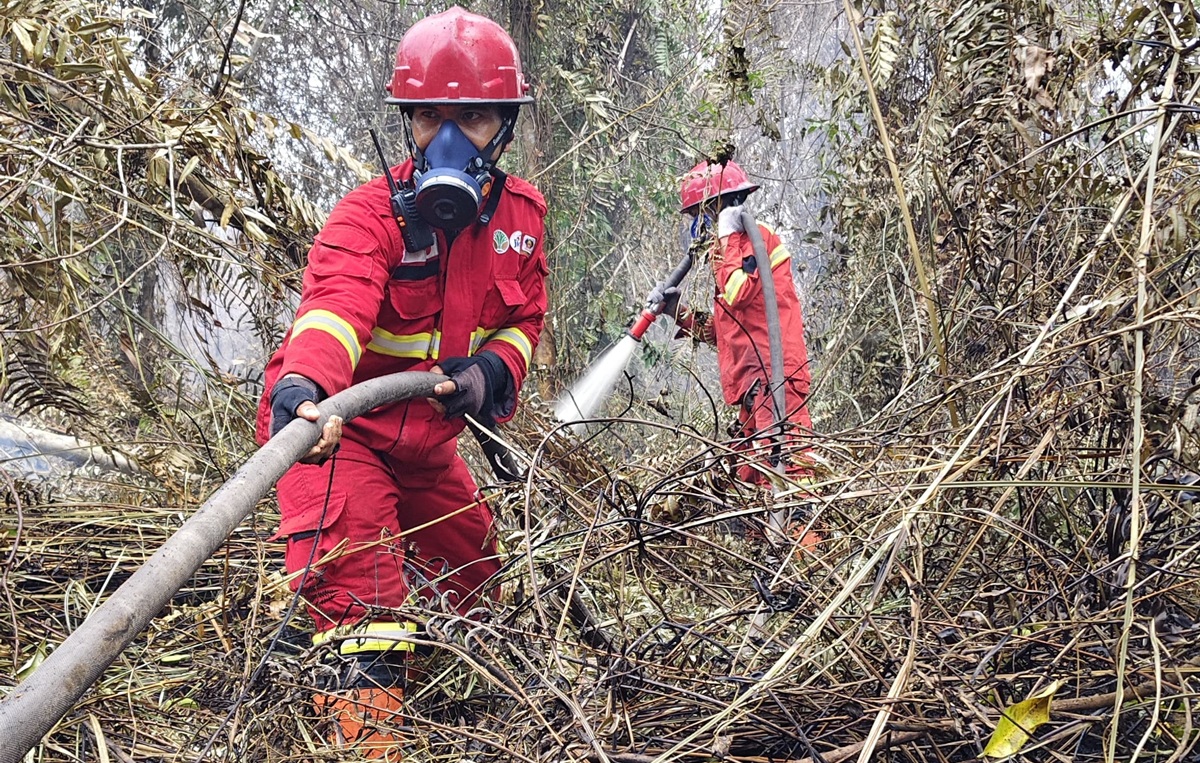 11 Daerah di Riau Tetapkan Status Siaga Darurat Karhutla