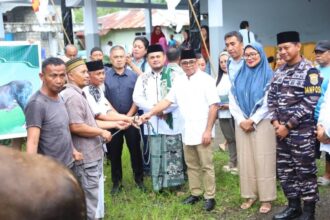 Bantuan Hewan Qurban Presiden dan Pemkab Sitaro Disalurkan ke Masyarakat Tagulandang
