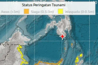BNPB: Tsunami Terdeteksi Usai Gempa M 7,7, 5 Provinsi Waspada