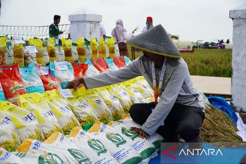 Bapanas Salurkan 7,7 Juta Ton Cadangan Beras Hingga 2025