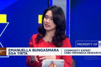 Batu Bara RI Hadapi Gelombang Panas di Asia
