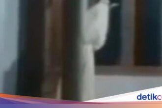 Camat Kamal: Video Pocong Bercelurit Viral di Bangkalan Hoax