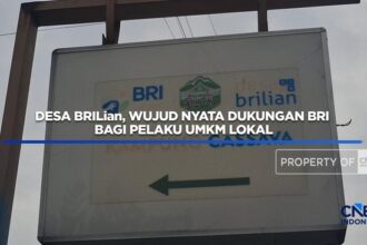Desa BRILian: Dukungan BRI untuk UMKM Desa