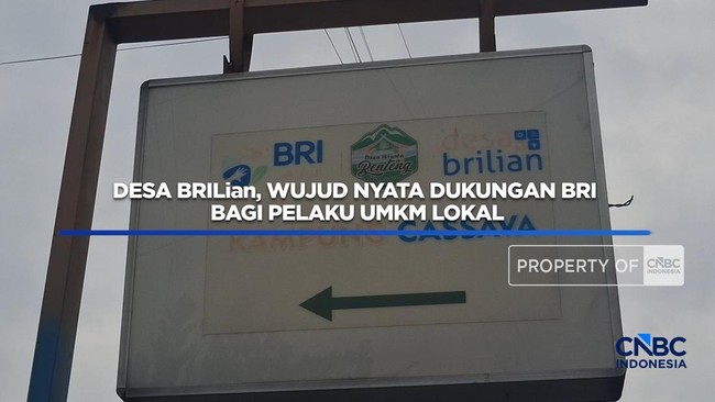Desa BRILian: Dukungan BRI untuk UMKM Desa
