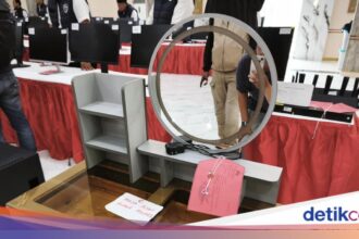 Fabiola Elizabeth Terlibat dalam Penipuan Daring Internasional
