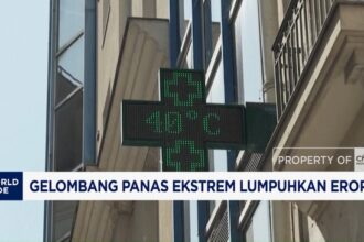 Gelombang Panas Ekstrem Melanda Eropa Barat, Suhu Pecah Rekor