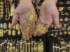 Harga Emas Perhiasan Terkini: Estimasi per Gram 18K hingga 24K