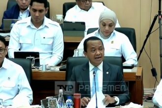 Investor Smelter Nikel China Sampaikan Keluhan RKAB Tambang